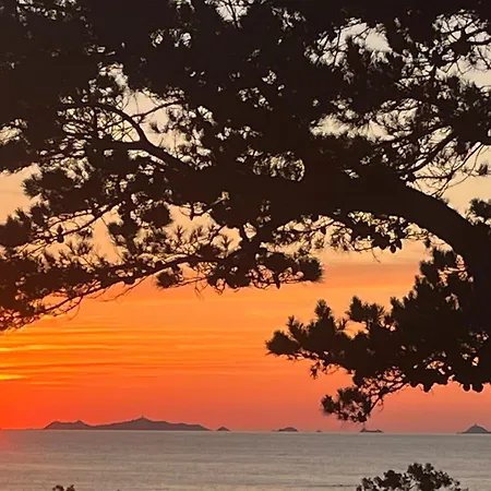 La Timeo * Pietrosella