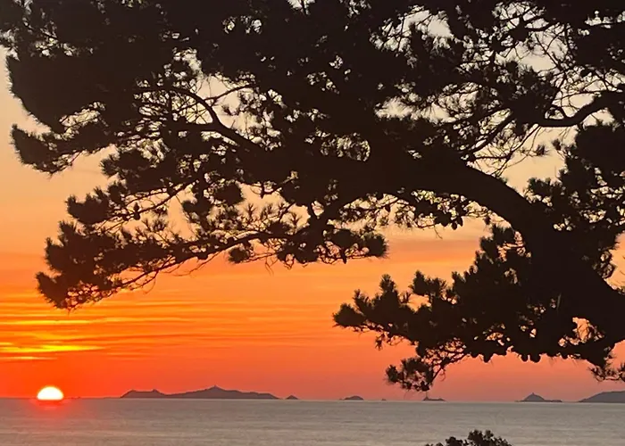 La Timeo * Pietrosella